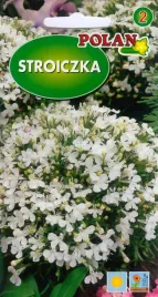 polan-stroiczka-lobelia-white-biala-03g