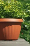 doniczka-dona-fi300-terakota-form-plastic
