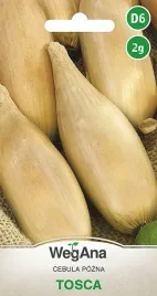 wegana-cebula-tosca-2g-nasiona