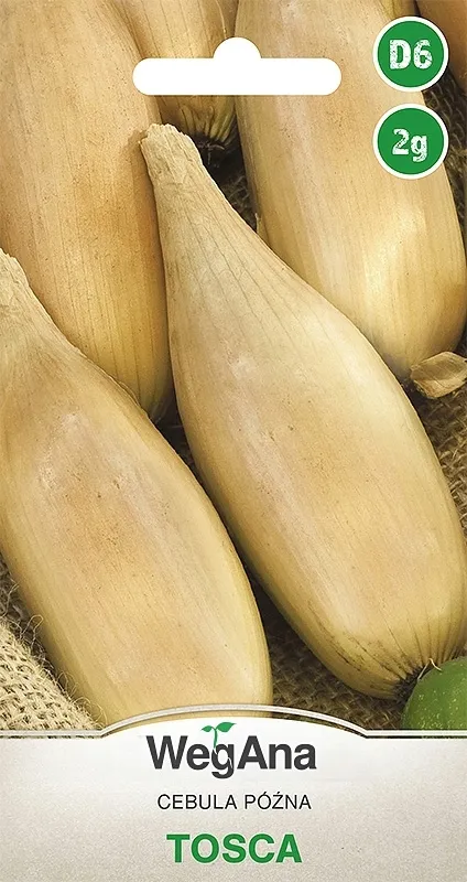 wegana-cebula-tosca-2g-nasiona