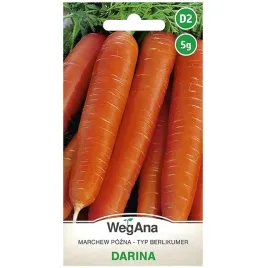 nasiona-marchwi-wegana-darina-typ-berlikumer-5-g