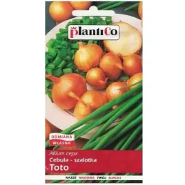 toto-nasiona-1-g-cebula-nasiona