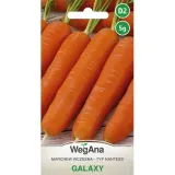 marchew-galaxy-nasiona-5-g