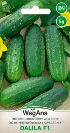 ogorek-dalila-nasiona-5-g
