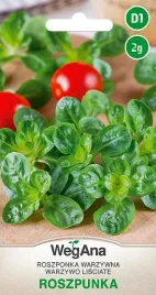 wegana-roszponka-warzywna-coquille-de-louviers-2g