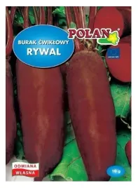 burak-cwiklowy-rywal-odmiana-wczesna-cylindryczna