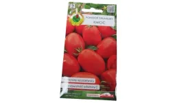 pomidor-pnos-pomidor-gruntowy-kmicic
