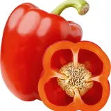 papryka-trapez-nasiona-05-g
