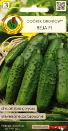 ogorek-gruntowy-reja-f1-2-g-pnos