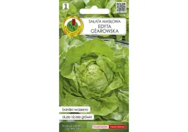 salata-maslowa-edyta-nasiona-pnos-salata-glowiasta-maslowa-nasiona-1-g