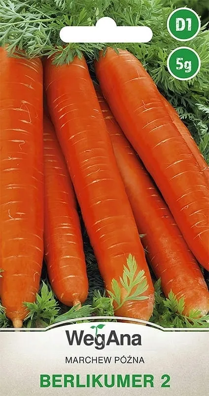 wegana-marchew-berlikumer-perfekcja-5g