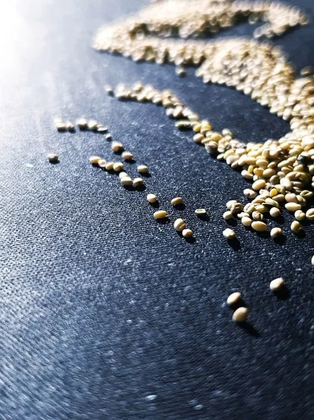 nasiona-koper-szmaragd-5-g