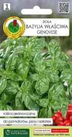 bazylia-wlasciwa-zielona-genovese-03g-pnos