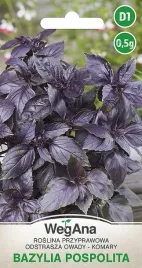 bazylia-czerwona-pospolita-05g-nasiona-wegana