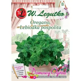 nasiona-oregano-oregano-lebiodka-pospolita-01-g