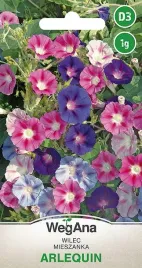 wilec-pnacy-arlequin-mieszanka-kolorow-1g-nasiona-wegana