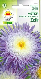 aster-ksiazecy-wysoki-zefir-1g-toraf