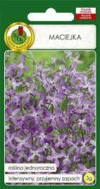 maciejka-3-g-maciejka