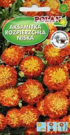 aksamitka-rozpierzchla-zlotomahoniowa-1g-odstrasza-komary-i-kleszcze-polan