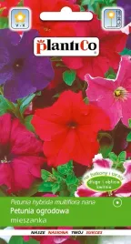 nasiona-petunia-ogrodowa-mieszanka-005g-plantico