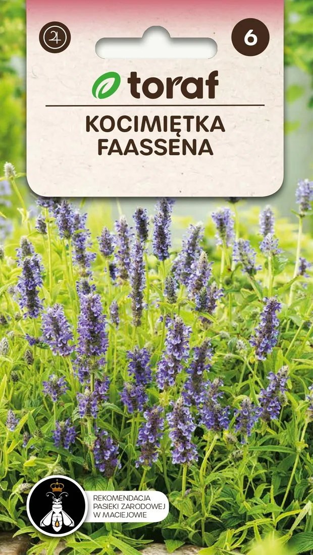 kocimietka-faassena-02g-toraf