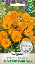 nagietek-niski-candyman-pomaranczowy-pelny-2g-nasiona-wegana