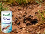 sumin-mrowkozol-proszek-na-mrowki-500g