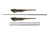 podbierak-fox-horizon-x3-42-8ft-pole-landing-rodzaj-podbierak