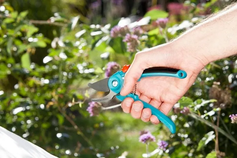 classic-sekator-ogrodowy-b-s