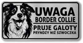 tabliczka-ostrzegawcza-uwaga-pies-border-collie-po-slasku