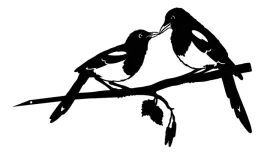 dekoracja-metalowa-ozdoba-ptaki-straszak-ptaszki