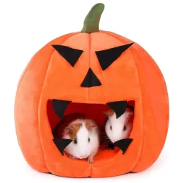 domek-dla-swinki-morskiej-legowisko-dla-swinki-morskiej-w-stylu-halloween