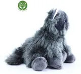 maskotka-kotek-szary-rappa-30-cm-eco-friendly-kolor-szary