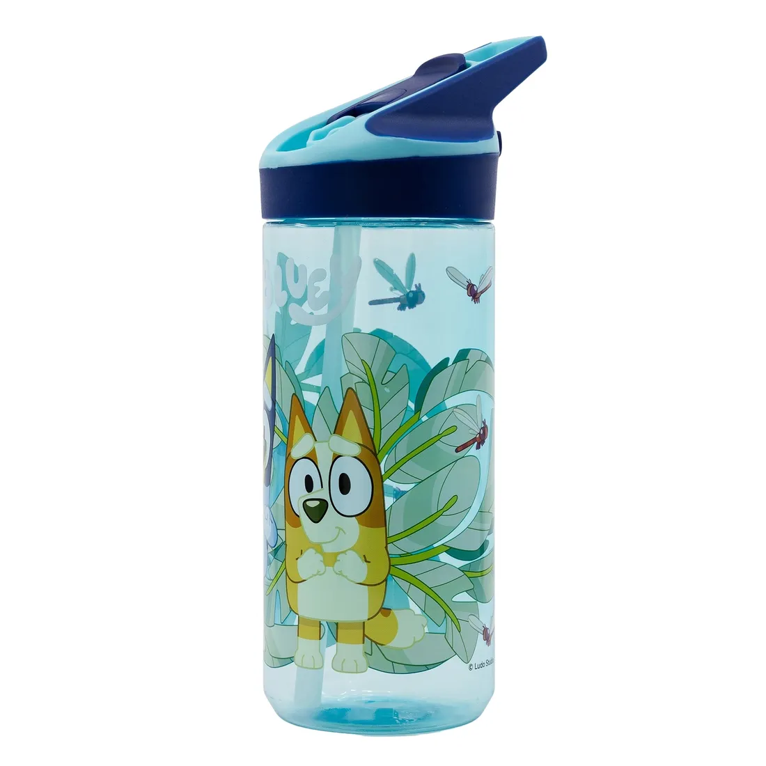 bidon-stor-bluey-620-ml-rodzaj-bidon