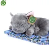 pluszak-piesek-13-cm-0-marka-rappa