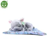 pluszak-piesek-13-cm-0-bohater-brak-plec-chlopcy