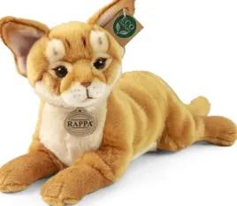 kot-maskotka-kot-abisynski-tygrys-kot-pustynny