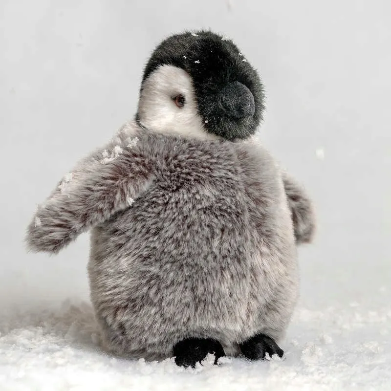 pluszak-maskotka-pingwin-cesarski-penguin-chick-ba