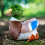 animigos-mallard-duck-pluszak-kaczka-plec-chlopcy