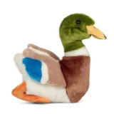 animigos-mallard-duck-pluszak-kaczka-marka-tobar