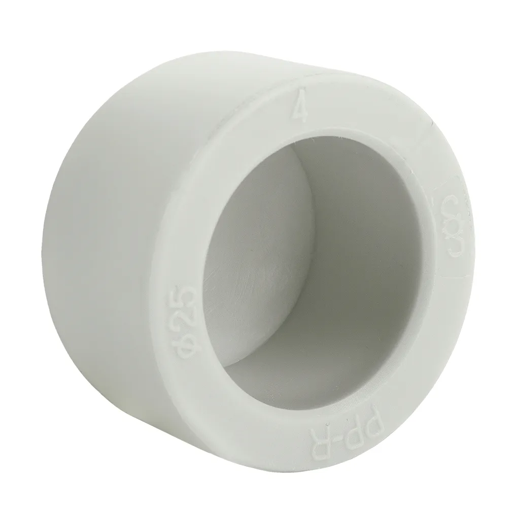 zaslepka-pp-r-pn25-20