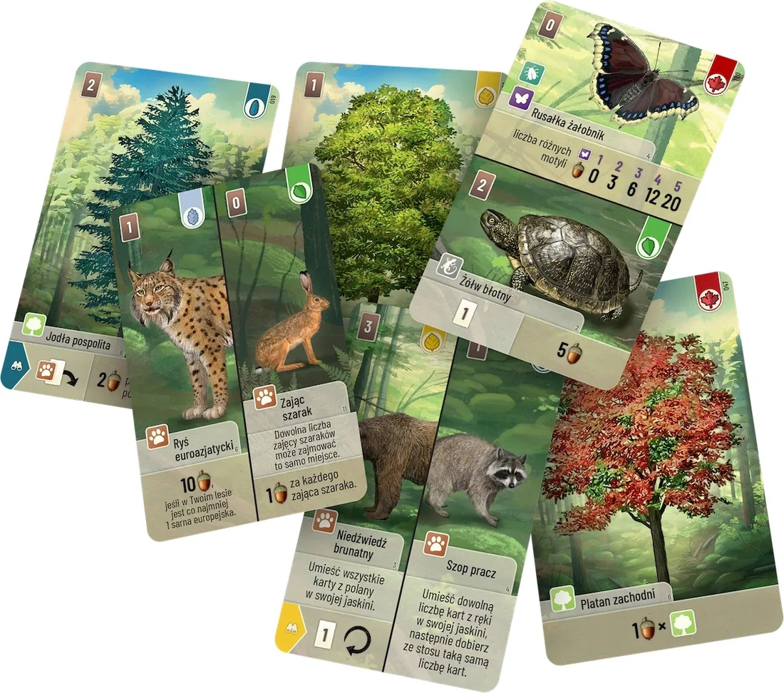 lesne-rozdanie-rebel