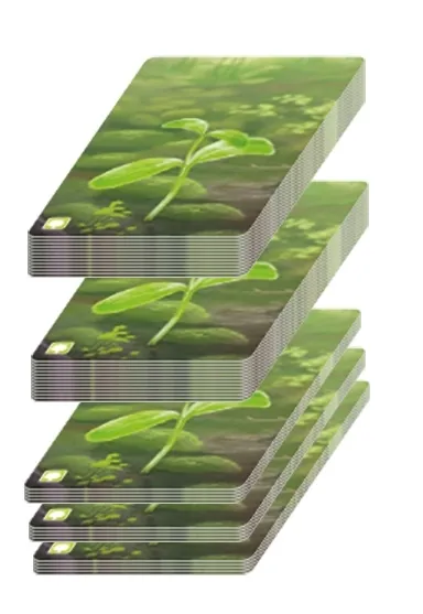 lesne-rozdanie-rebel-czas-rozgrywki-do-1-godziny