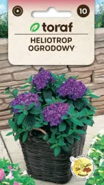 heliotrop-ogrodowy-fioletowo-niebieski-010-g-toraf-112