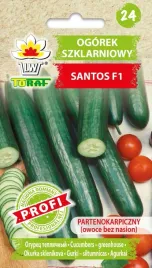 ogorek-szklarniowy-santos-f1-1g-toraf-69