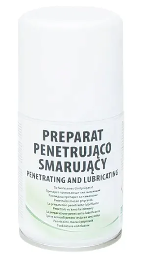 spray-preparat-penetr-smarujacy-100ml-ag