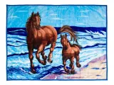 koc-elway-160x210-konie