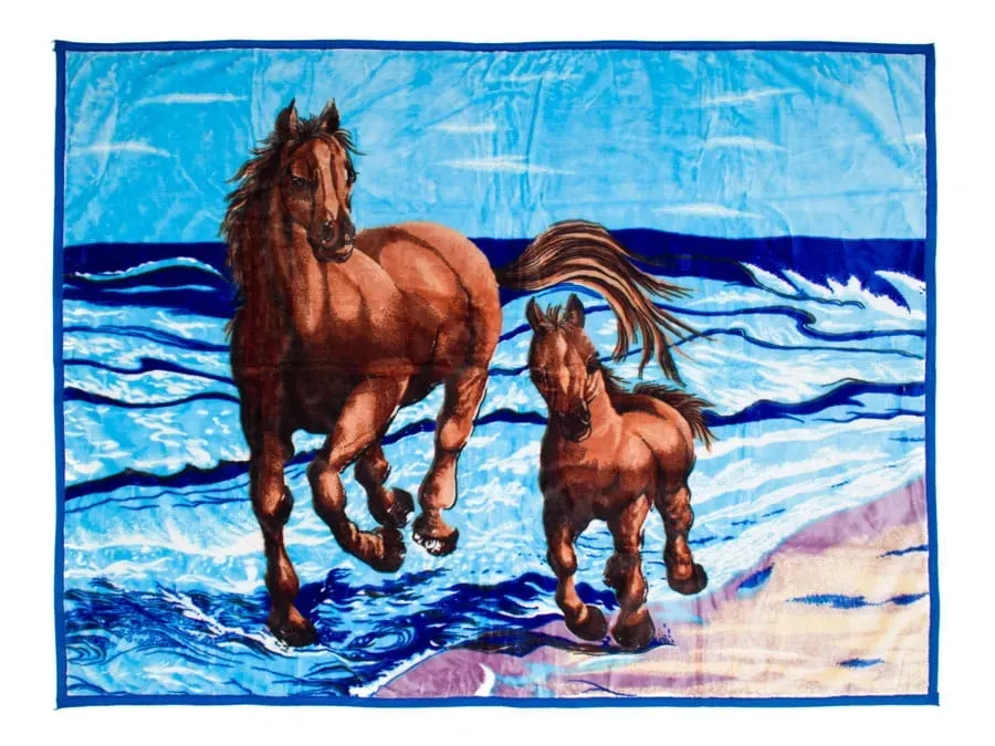 koc-elway-160x210-konie