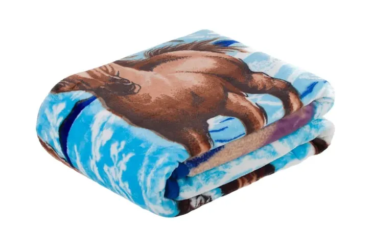 koc-elway-160x210-konie-stan-nowy