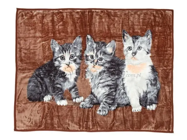 koc-elway-160x210-koty